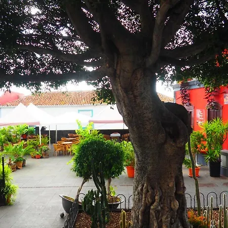Casa De Amig@s En Santa Cruz De La Palma *