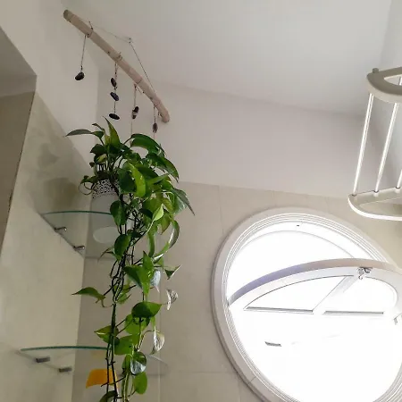 Lägenhet Casa De Amig@s En Santa Cruz De La Palma Santa Cruz de la Palma (Isla de la Palma)